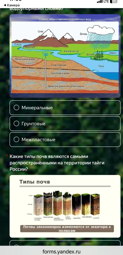 Какие типы почв являются самыми распространёнными на территории тайги России?