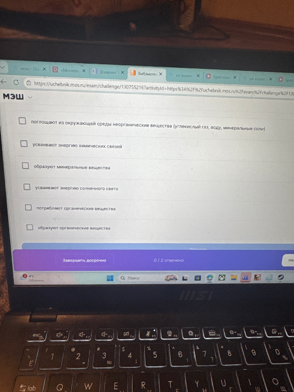 поглощают из окружающей среды неорганические вещества (углекислый газ, воду, минеральные соли)