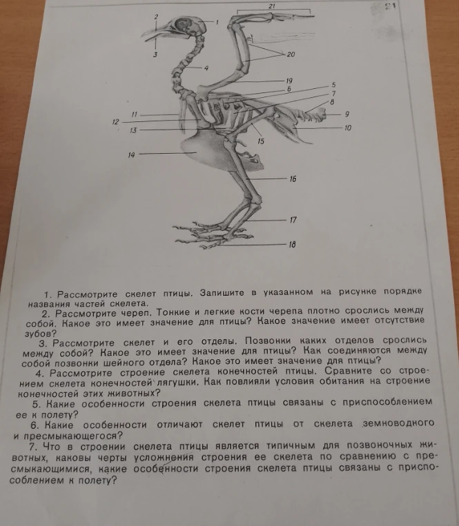 1. Рассмотрите скелет птицы. Запишите в указанном на рисунке порядке названия частей скелета.