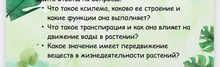 Дайте ответы на вопросы: Что такое ксилема, каково ее строение и какие функции она выполняет?