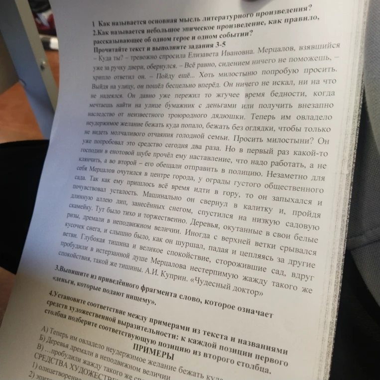 Как называется основная мысль литературного произведения?