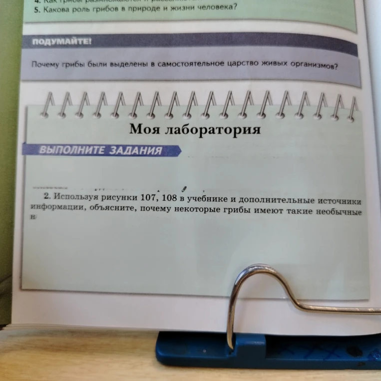 Почему грибы были выделены в самостоятельное царство живых организмов?
