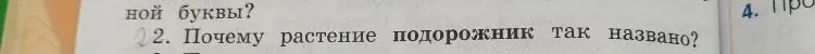 2. Почему растение подорожник так названо?