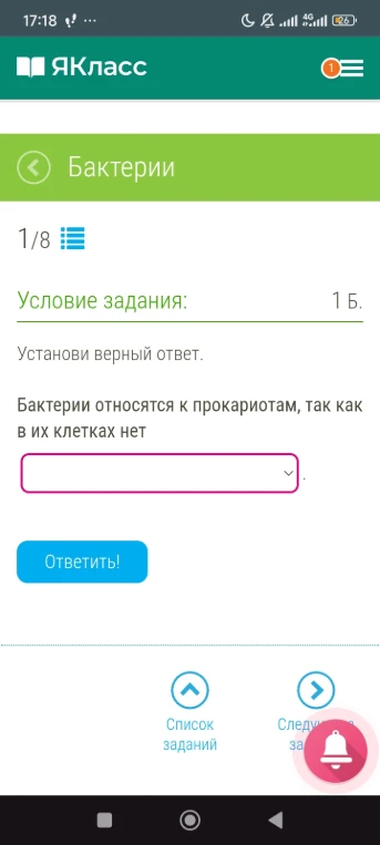 Бактерии относятся к прокариотам, так как в их клетках нет