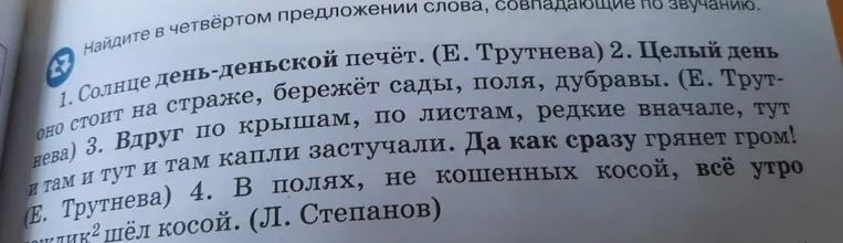 Найдите в четвёртом предложении слова, совпадающие по звучанию.