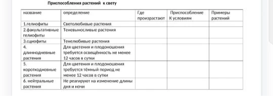 Приспособления растений к свету