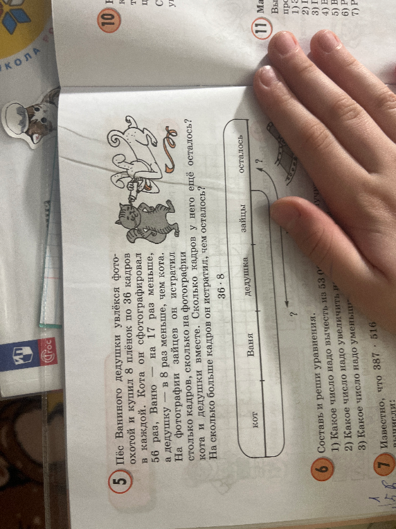 Пёс Ваниного дедушки увлёкся фотоохотой и купил 8 плёнок по 36 кадров в каждой.