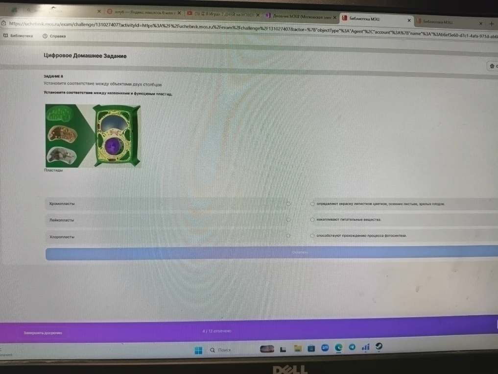 Установите соответствие между названиями и функциями пластид.