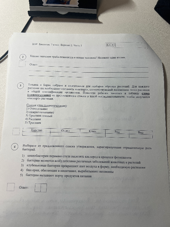 Каково значение гриба-пеницилла в жизни человека? Назовите одно из них.