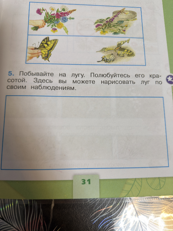 5. Побывайте на лугу. Полюбуйтесь его красотой. Здесь вы можете нарисовать луг по своим наблюдениям.