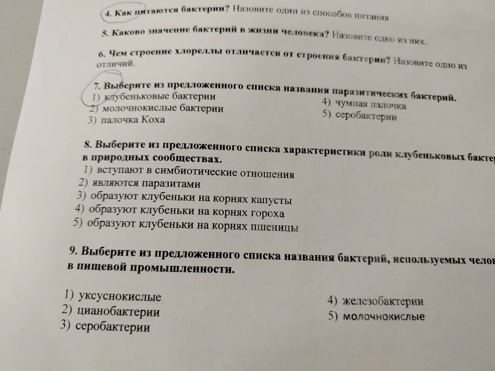 4. Как питаются бактерии? Назовите один из способов питания