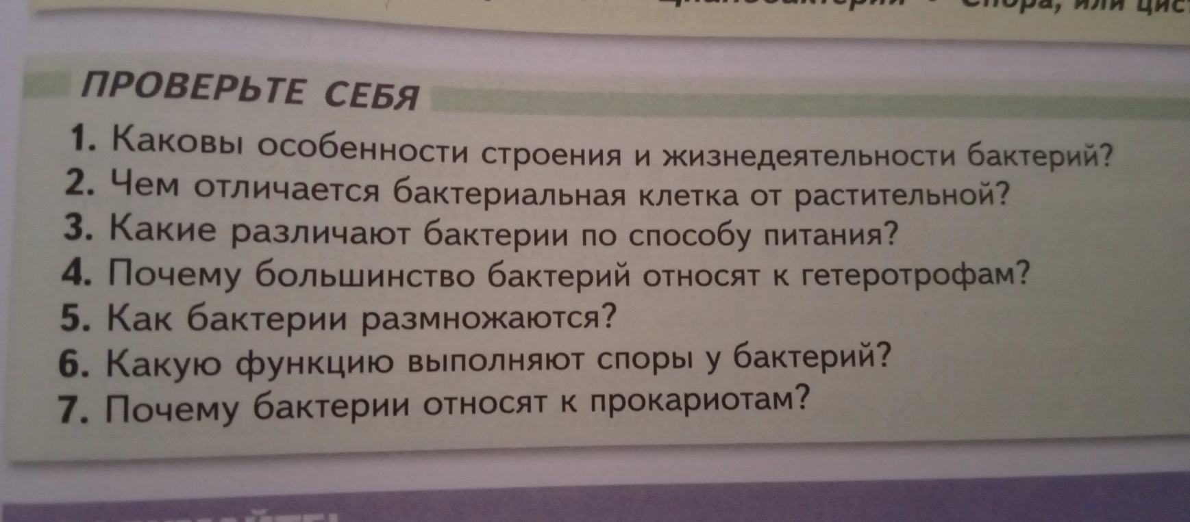 Каковы особенности строения и жизнедеятельности бактерий?