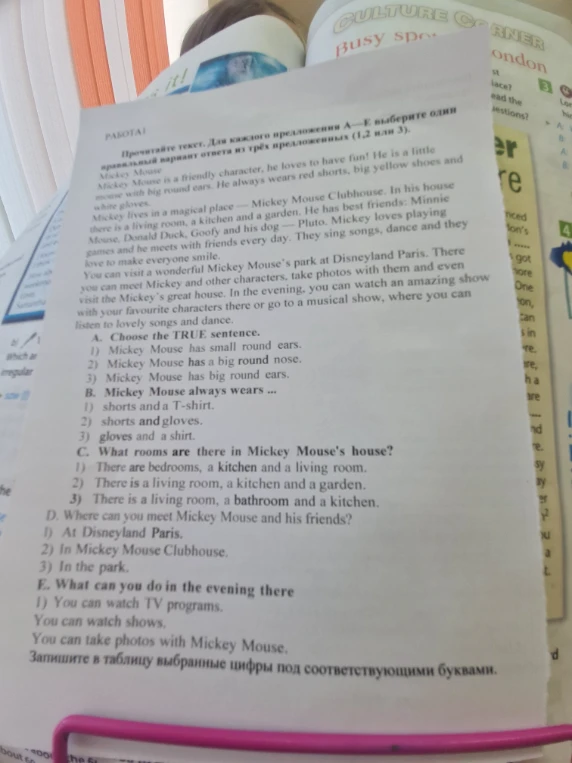Прочитайте текст. Для каждого предложения А—Е выберите один правильный вариант ответа из трёх предложенных (1, 2 или 3).