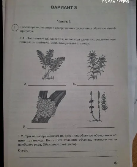 Рассмотрите рисунки с изображением различных объектов живой природы.