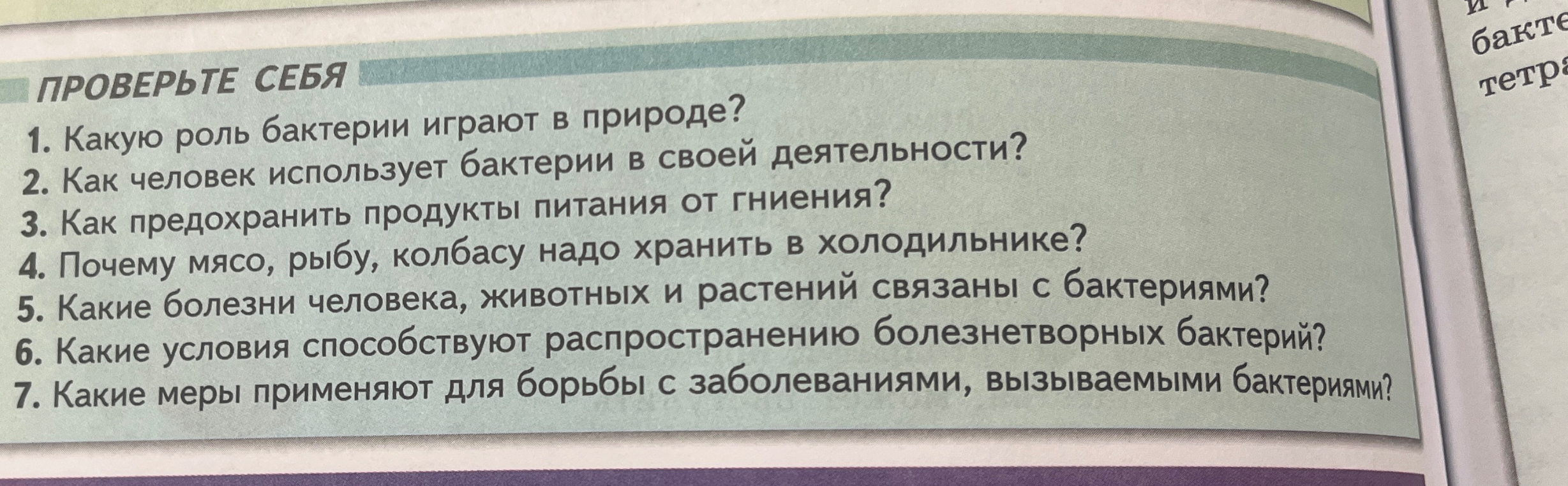 Какую роль бактерии играют в природе?
