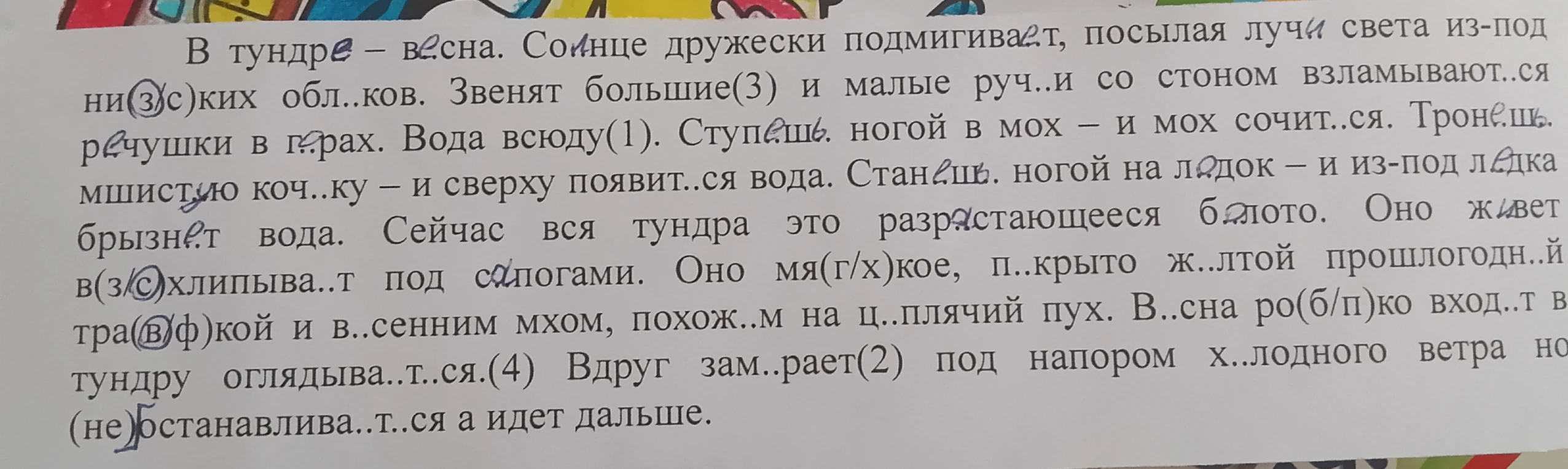 В тундре – весна. Солнце дружески подмигивает, посылая лучи света из-под низких облаков.