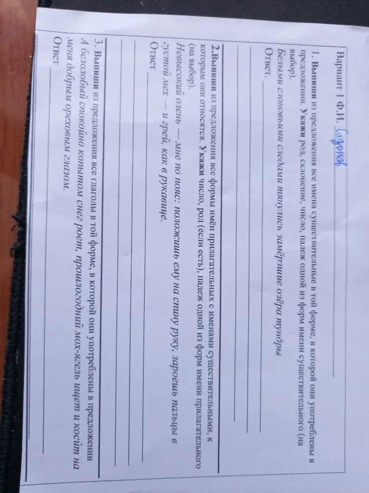 Выпиши из предложения все имена существительные в той форме, в которой они употреблены в предложении. Укажи род, склонение, число, падеж одной из форм имени существительного (на выбор).