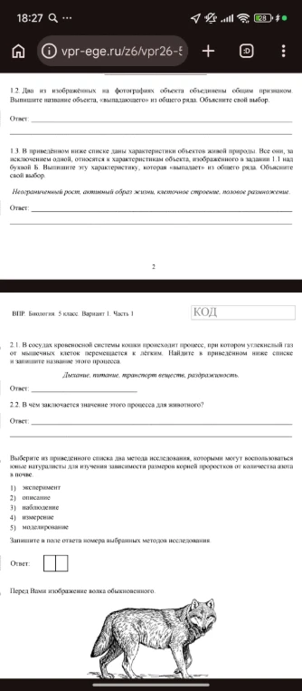 2.1. В сосудах кровеносной системы кошки происходит процесс, при котором углекислый газ от мышечных клеток перемещается к легким.