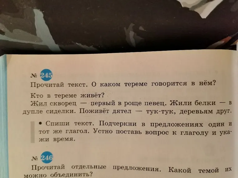 Прочитай текст. О каком тереме говорится в нём? Кто в тереме живёт?
