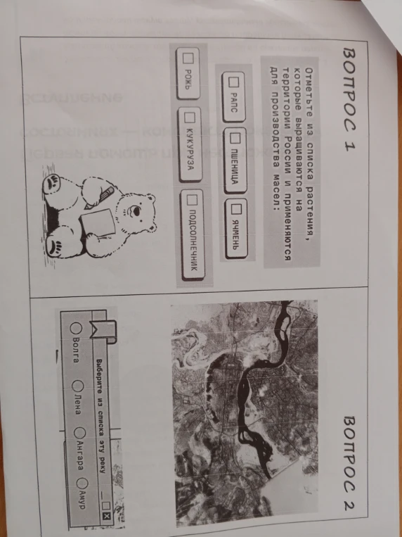 Отметьте из списка растения, которые выращиваются на территории России и применяются для производства масел