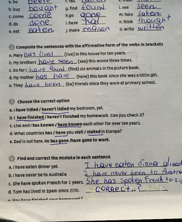 Complete the sentences with the affirmative form of the verbs in brackets