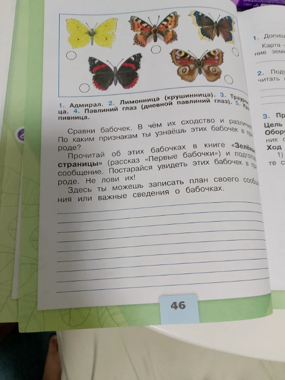 Сравни бабочек. В чём их сходство и различия? По каким признакам ты узнаёшь этих бабочек в природе?