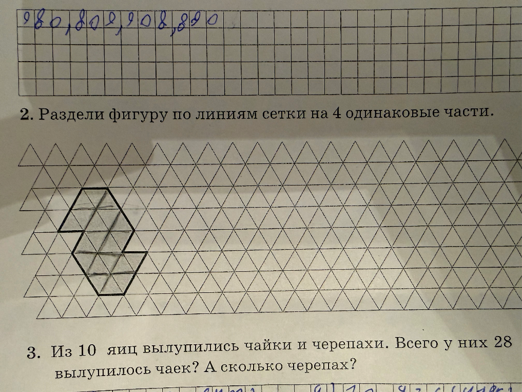 Раздели фигуру по линиям сетки на 4 одинаковые части. Из 10 яиц вылупились чайки и черепахи. Всего у них 28 ног. Сколько вылупилось чаек? А сколько черепах?