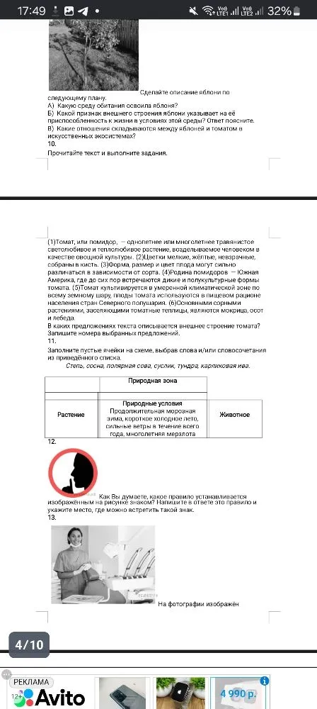 Сделайте описание яблони по следующему плану.