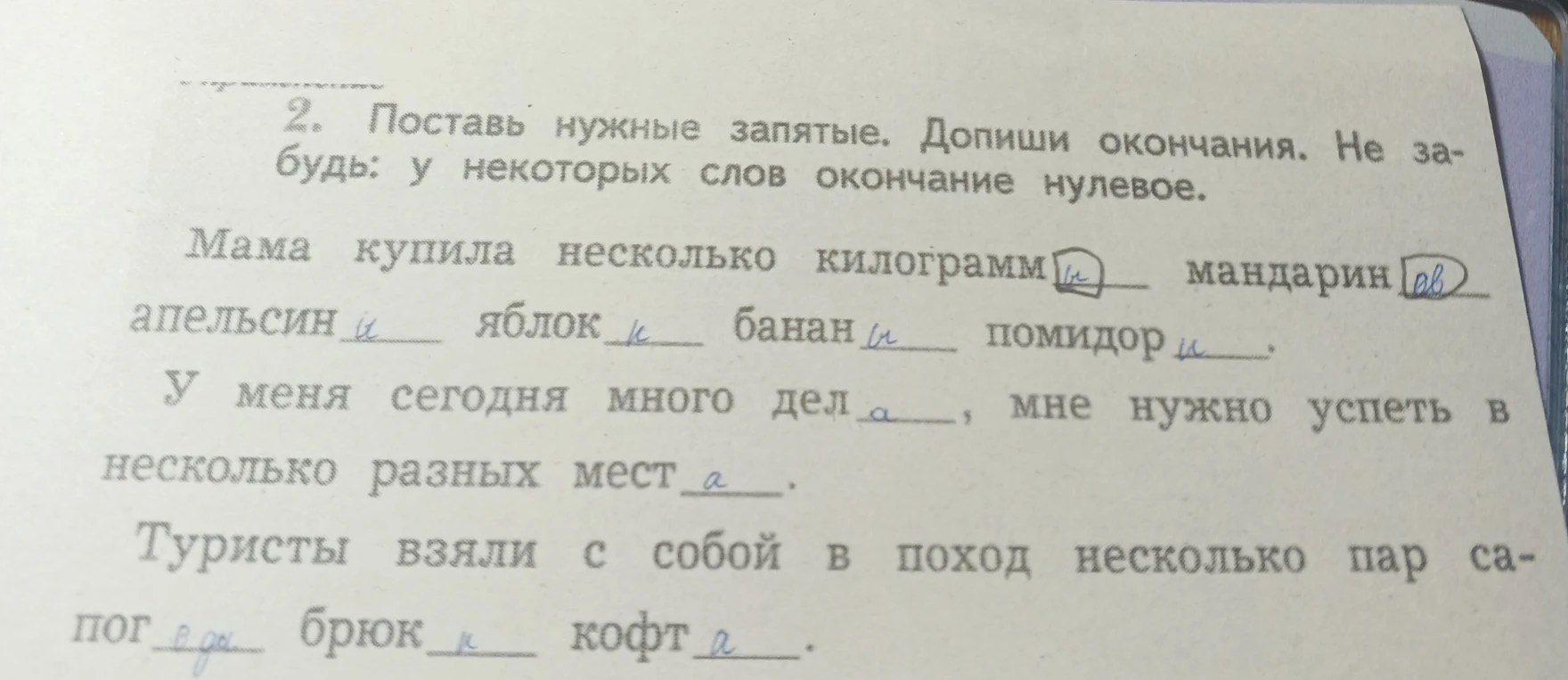 2. Поставь нужные запятые. Допиши окончания. Не забудь: у некоторых слов окончание нулевое.