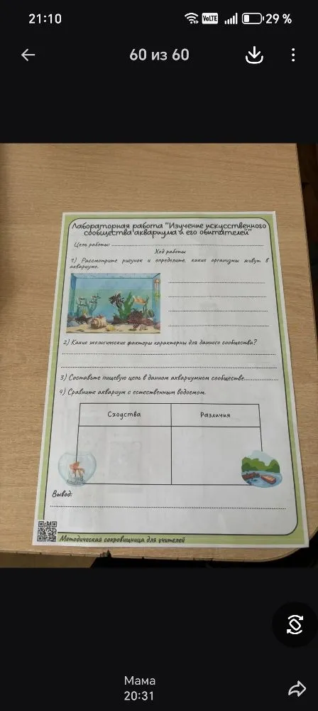 Лабораторная работа "Изучение искусственного сообщества аквариума и его обитателей"