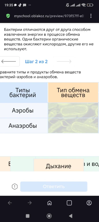 Сравните типы и продукты обмена веществ бактерий-аэробов и анаэробов.