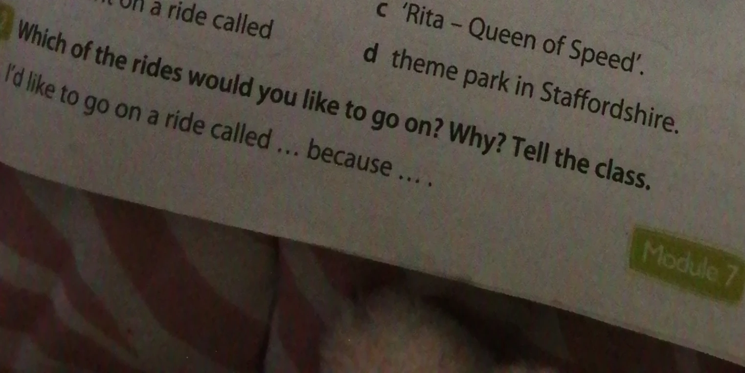Which of the rides would you like to go on? Why? Tell the class.