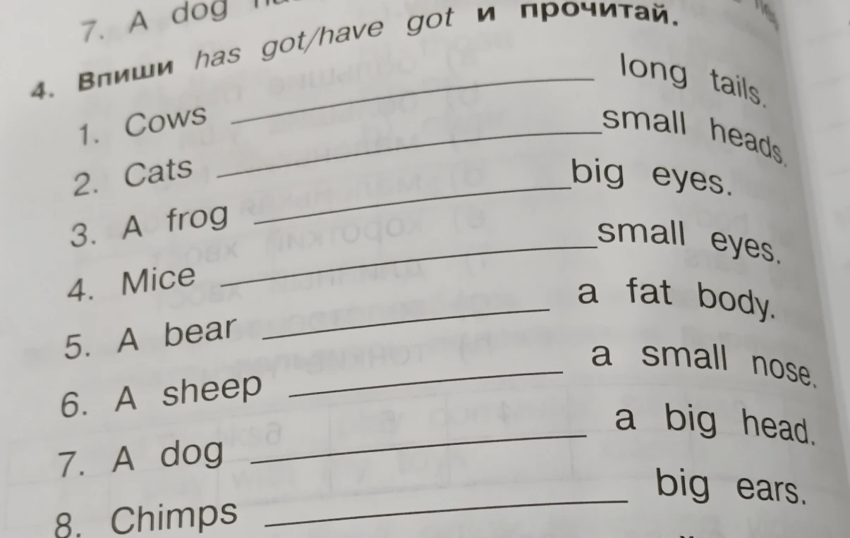 4. Впиши has got/have got и прочитай.