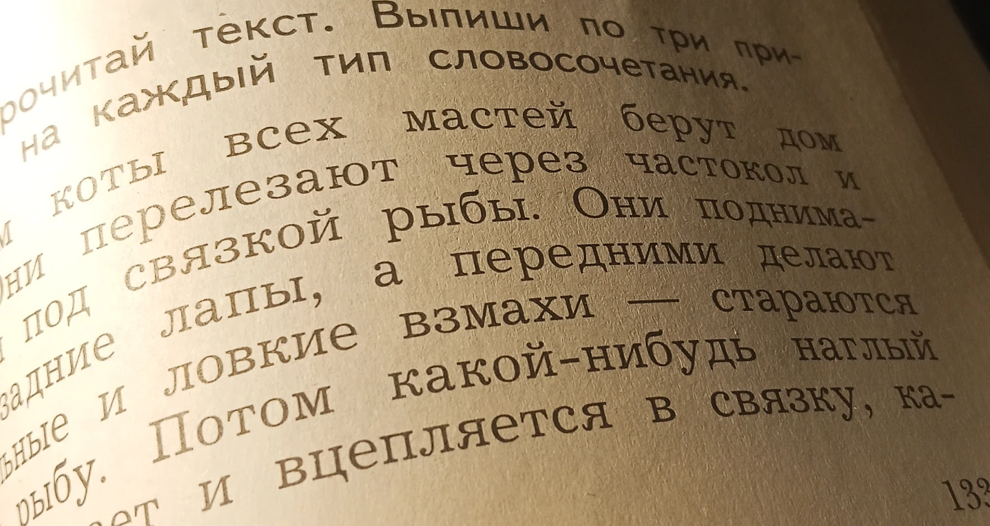 Прочитай текст. Выпиши по три примера на каждый тип словосочетания.