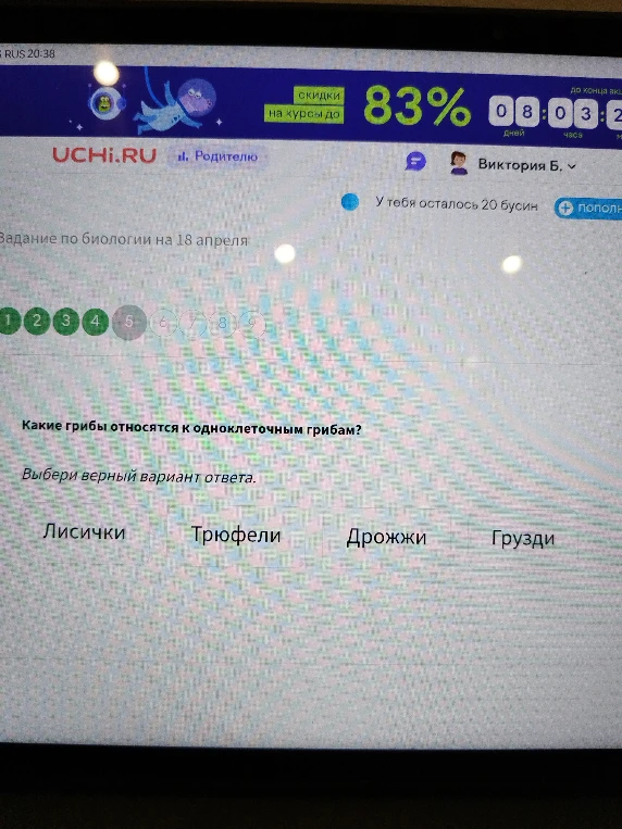 Какие грибы относятся к одноклеточным грибам?