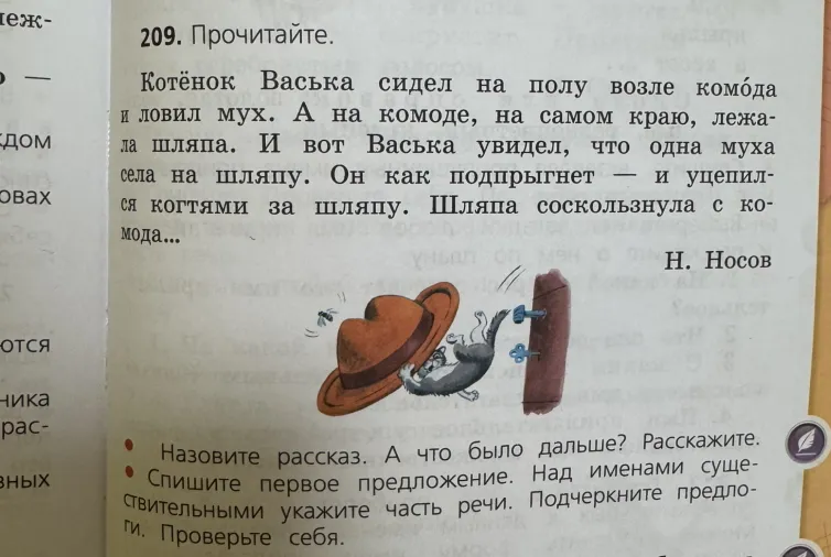 209. Прочитайте. Котёнок Васька сидел на полу возле комода и ловил мух.