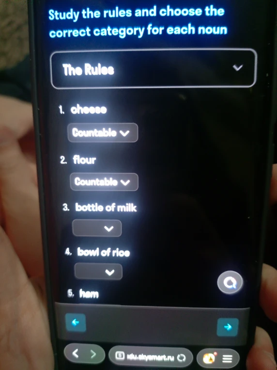 Study the rules and choose the correct category for each noun: 1. cheese, 2. flour, 3. bottle of milk, 4. bowl of rice, 5. ham.