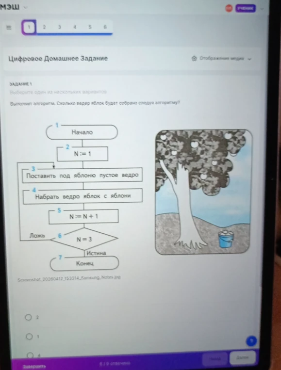 Выполните алгоритм. Сколько ведер яблок будет собрано следуя алгоритму?