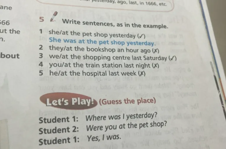 5 Write sentences, as in the example.