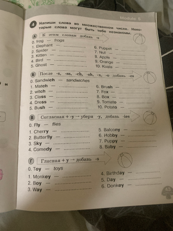 Напиши слова во множественном числе. Некоторые слова могут быть тебе незнакомы.