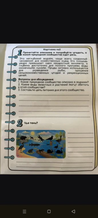 Прочитайте описание и попробуйте угадать, о каком природном сообществе идет речь.