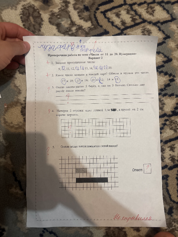 Около школы растет 5 берез, а лип на 3 больше. Сколько лип растет около школы?