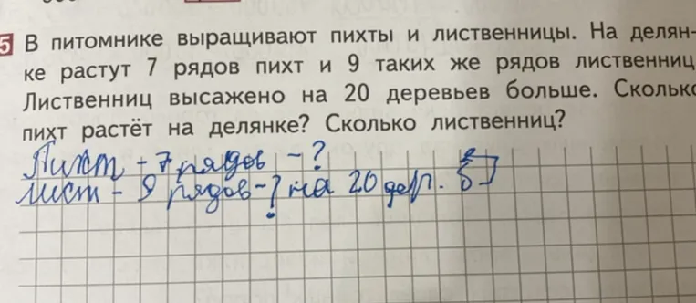 В питомнике выращивают пихты и лиственницы. На делянке растут 7 рядов пихт и 9 таких же рядов лиственниц. Лиственниц высажено на 20 деревьев больше. Сколько пихт растёт на делянке? Сколько лиственниц?