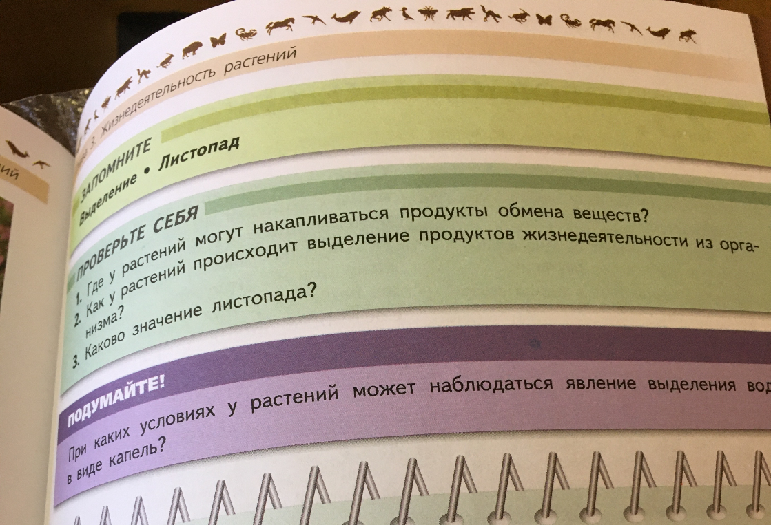 Где у растений могут накапливаться продукты обмена веществ?
