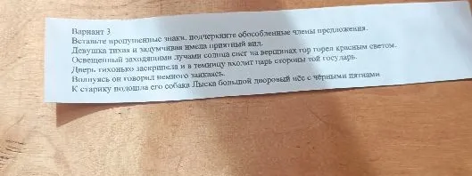 Вариант 3. Вставьте пропущенные знаки, подчеркните обособленные члены предложения.