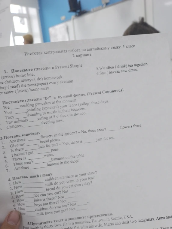 Итоговая контрольная работа по английскому языку. 5 класс. 2 вариант.