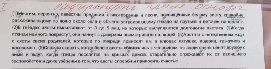 Многим, вероятно, известны предания, стихотворения и песни, посвящённые белому аисту, спокойно расхаживающему по полю около села и обычно устраивающему гнездо из прутьев и веточек на кровле.