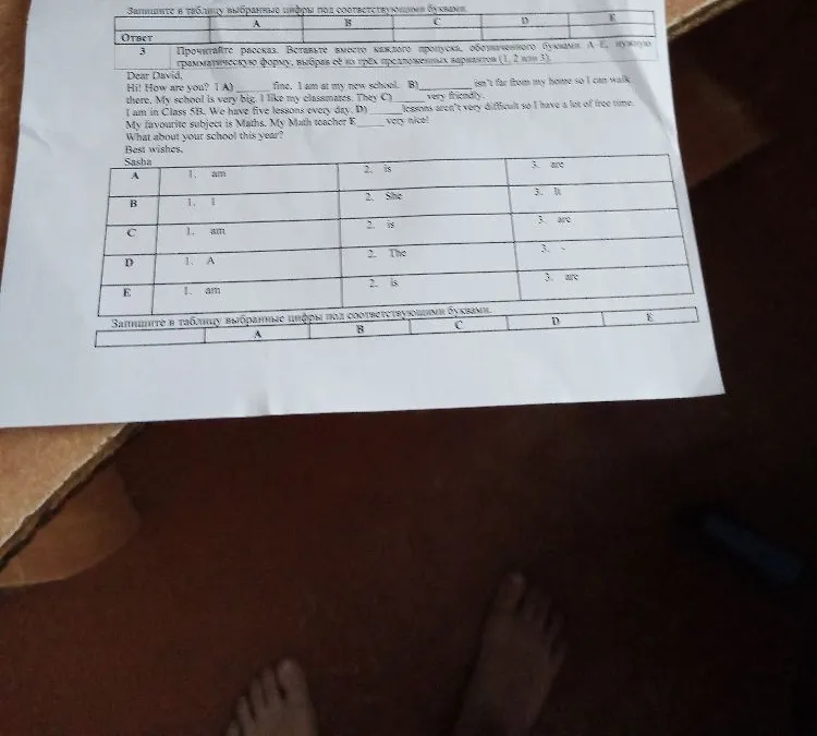 Прочитайте рассказ. Вставьте вместо каждого пропуска, обозначенного буквами А-Е, нужную грамматическую форму, выбрав её из трёх предложенных вариантов (1, 2 или 3).