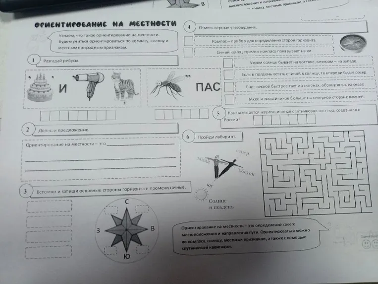 Разгадай ребусы.