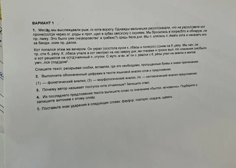 Месяц мы выслеживали рыж..го кота-ворюгу. Однажды мальчишки ра(сс/с)казали, что на ра(сс/с)вете кот проне(сс/с)я через ог..роды и прот..щил в зубах свя(з/с)ку с окунями.